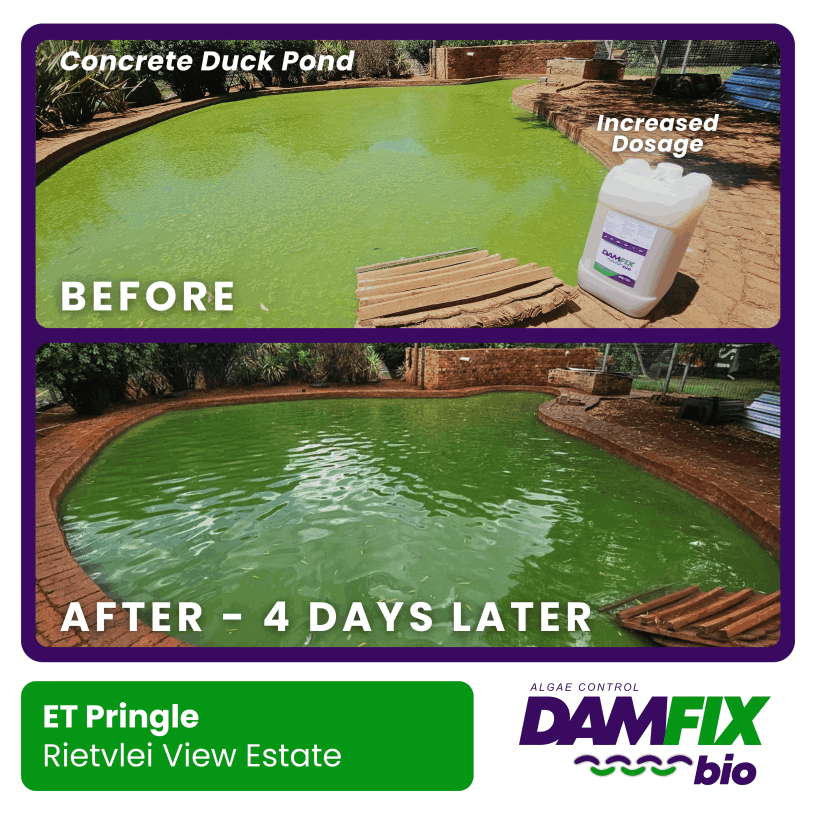 DAMFIX Bio - Before and After - ET Pringle