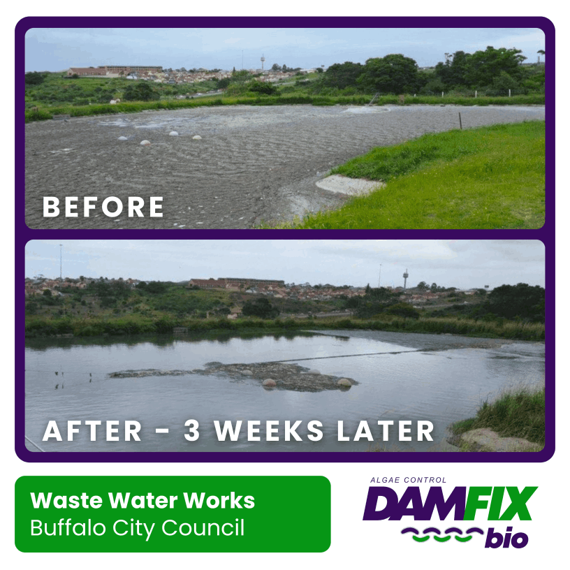 DAMFIX Bio - Before and After - Waste Water Works