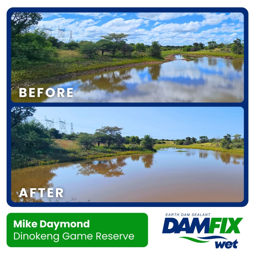 DAMFIX Wet - Before and After - Mike Daymond - Dinokeng Game Reserve