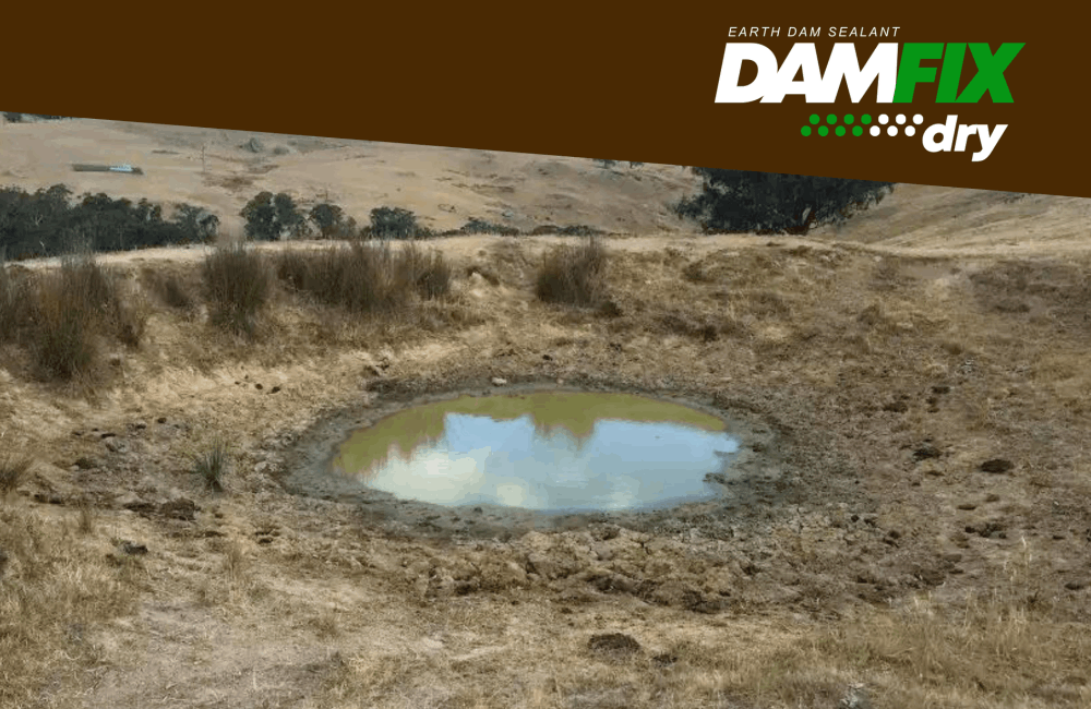 Seal an earth dam which is constantly running empty with DAMFIX Dry