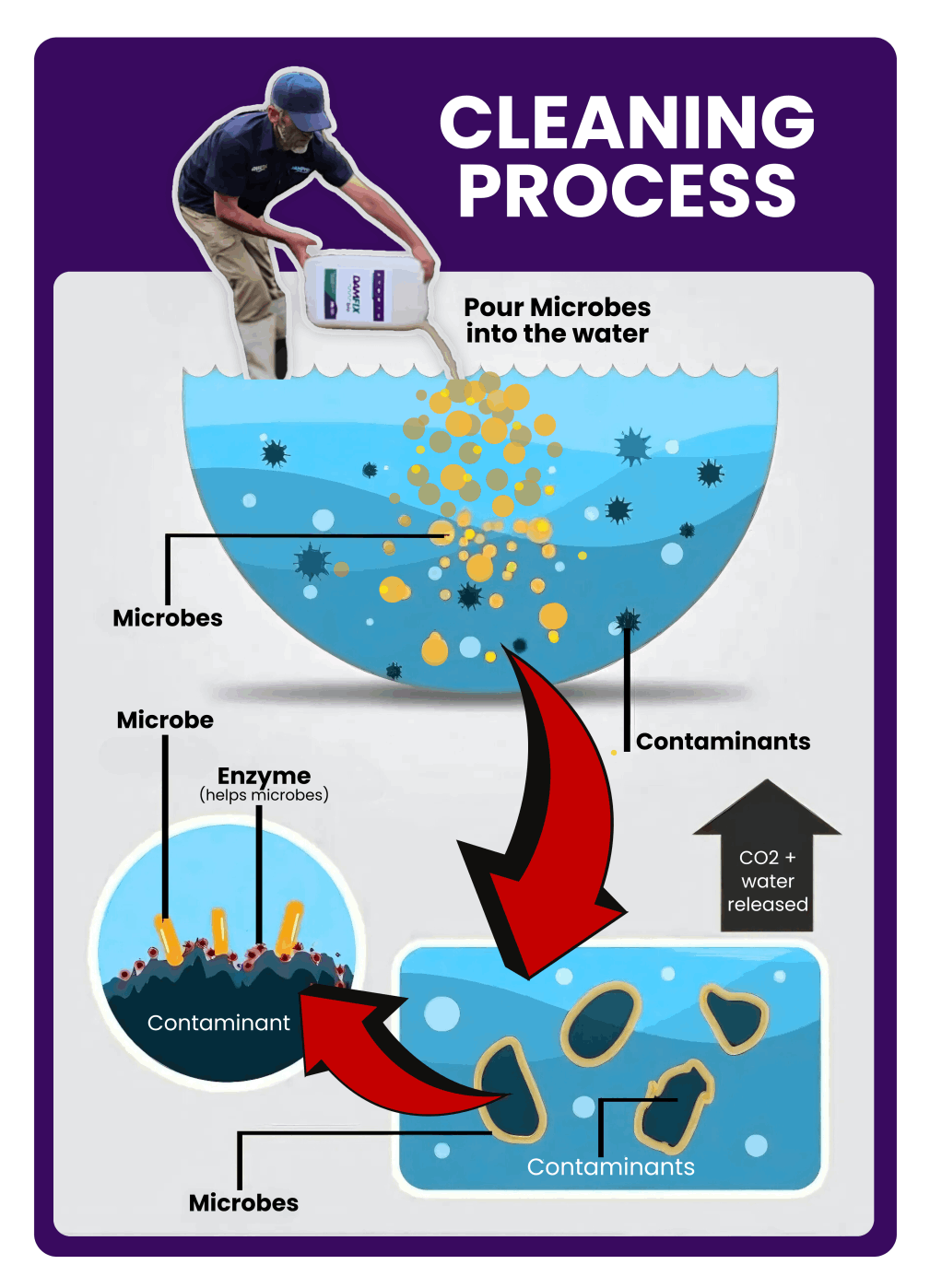 The cleaning process of DAMFIX Bio