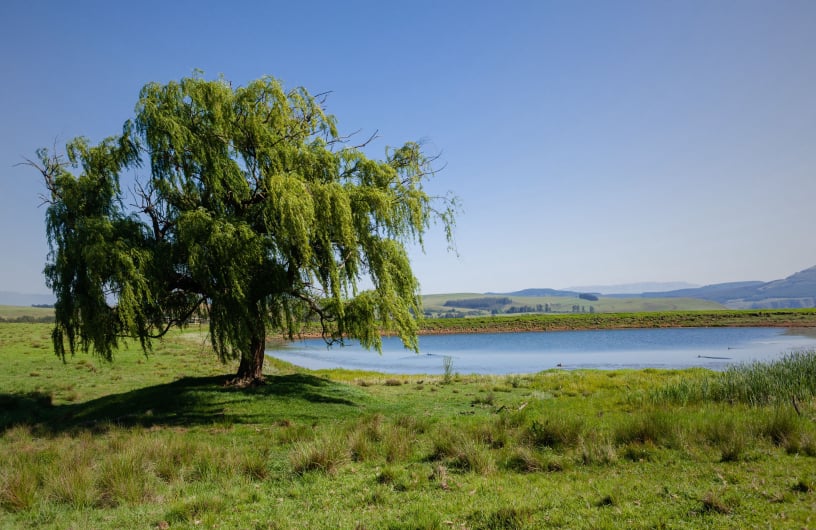 Reasons why an earth dam may be leaking